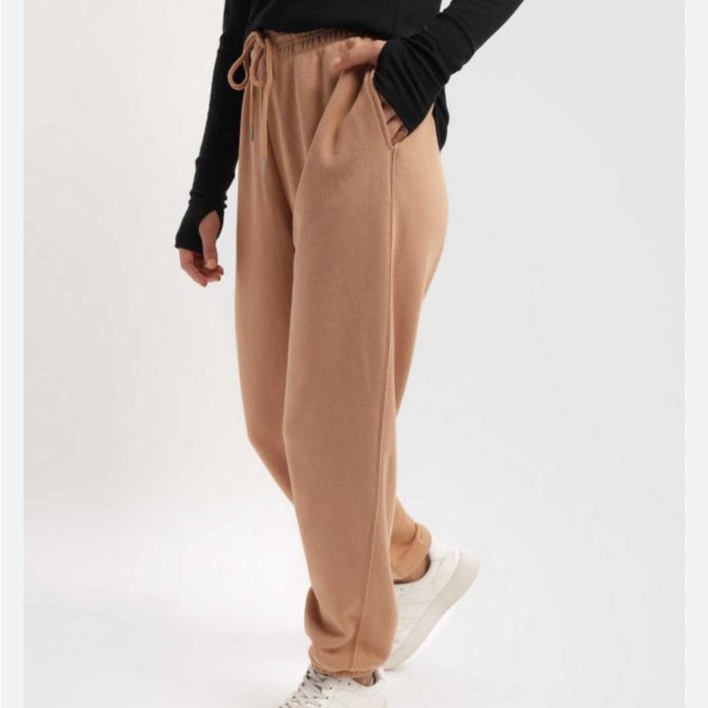 Aerie Tan jogger pants